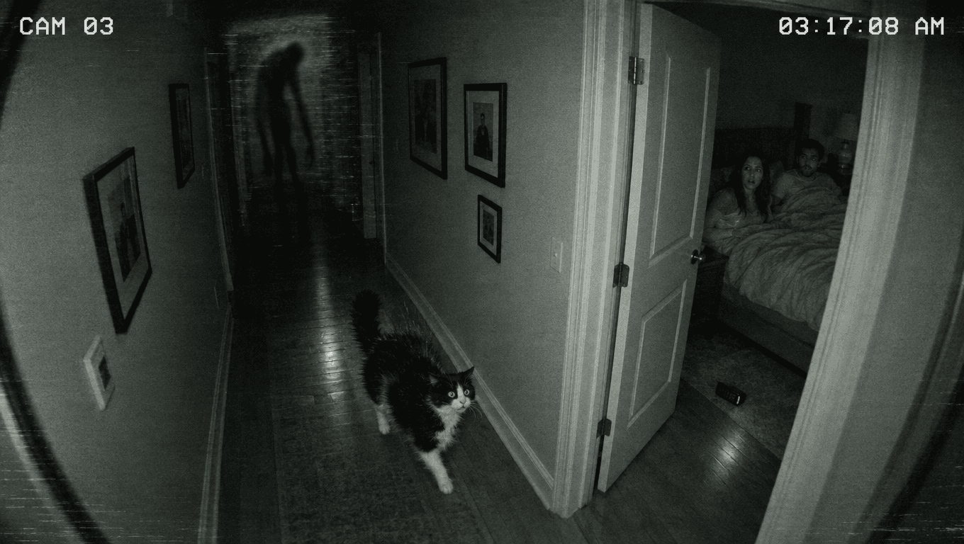 Este gato entró desesperado en la habitación de sus dueños, pero la cámara reveló algo aterrador